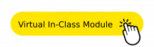 Virtual in-class module